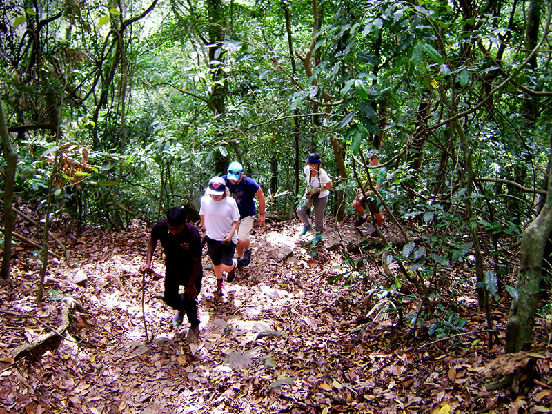 Wildlife in Sri Lanka
